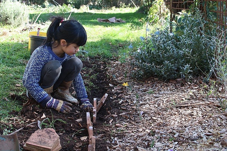 6,000 m2 Garden of a Vietnamese Mother in Australia 6,000 m2 Garden of a Vietnamese Mother in Australia