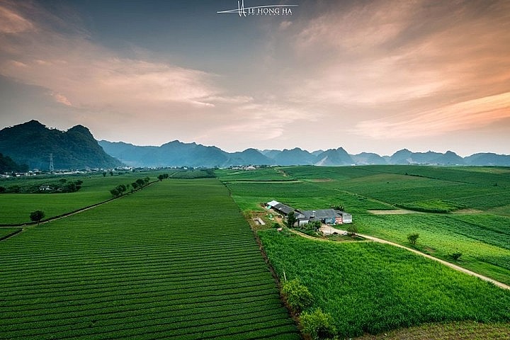Mesmerizing Moc Chau Tea Hill from Above Mesmerizing Moc Chau Tea Hill from Above