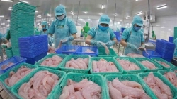 Большой потенциал экспорта вьетнамских морепродуктов в США в 2022 году