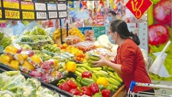 Вегетарианские продукты пользуются спросом по случаю первого полнолуния 2023 года