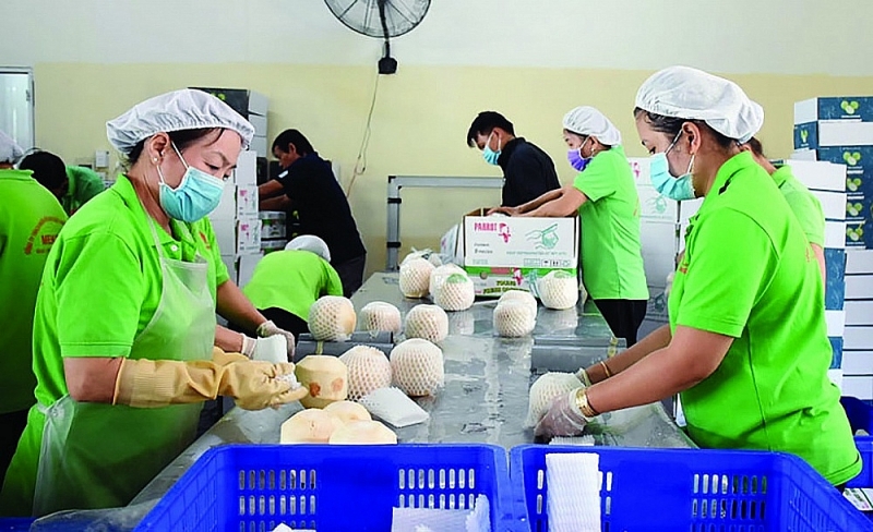 Повышение конкурентоспособности сельскохозяйственной продукции, экспортируемой в США