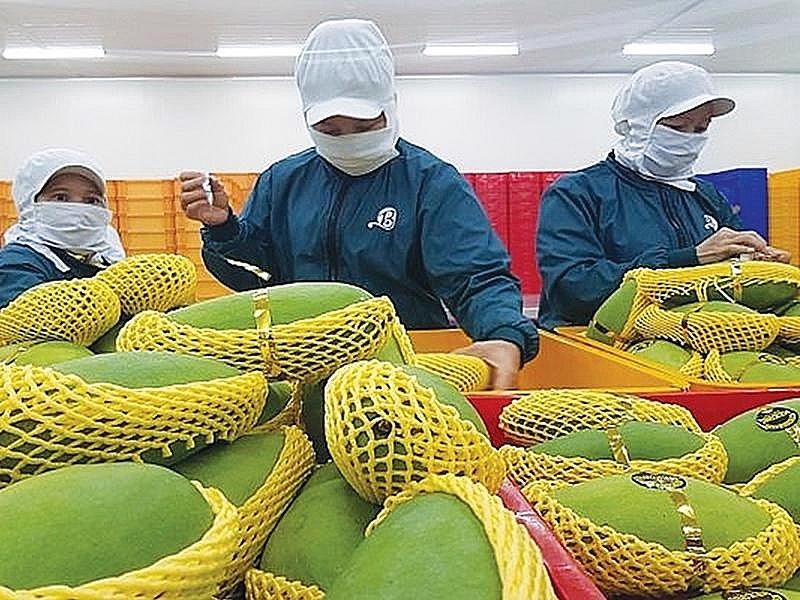 Повышение конкурентоспособности сельскохозяйственной продукции, экспортируемой в США