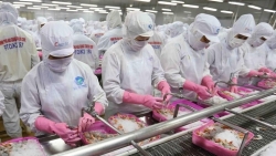 Экспорт морепродуктов Вьетнама продолжает расти