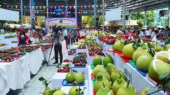 Скоро пройдёт Фестиваль вьетнамских фруктов и продукции OCOP
