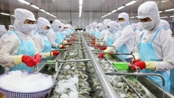 За первые 5 месяцев 2022 года экспорт морепродуктов вырос на более чем 44,5% по сравнению с аналогичным периодом 2021 года