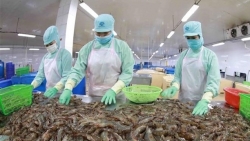 VASEP выпустит карту вьетнамских предприятий по производству морепродуктов