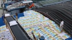 Товарооборот между Вьетнамом и Лаосом продолжает расти