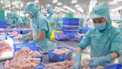 Экспортный оборот Вьетнама за 8 месяцев 2021 года вырос более чем на 21%