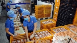 Квота на импорт табачного сырья и яиц домашних птиц из Евразийского экономического союза