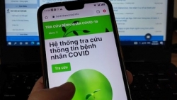 Пилотный запуск Системы поиска информации о пациентах с COVID-19