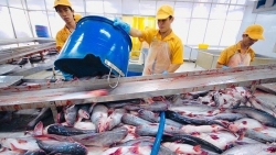 Путь вьетнамской сельскохозяйственной продукции по завоеванию европейского рынка
