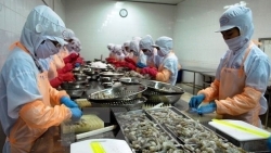 Объем экспорта вьетнамской продукции сельского, лесного и водного хозяйства за 9 месяцев составил 35,5 млрд. долл. США