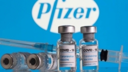 Вьетнам предложил Pfizer сотрудничать в производстве препаратов для лечения COVID-19