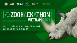 Старт конкурса по программированию в целях спасения диких животных Zoohackathon Vietnam 2021
