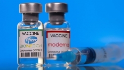 Вьетнам одобрил использование вакцин Pfizer и Moderna для вакцинации детей