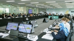 Вьетнам признал поддержу GGGI в продвижении зеленого роста