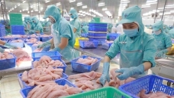 Экспорт рыбных продуктов Вьетнама за 10 месяцев составил 9,39 млрд. долл. США