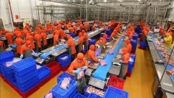 Приток ПИИ достиг 22,46 млрд долларов США за 10 месяцев