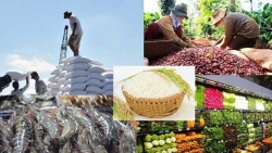 Экспорт продукции сельского, лесного и рыбного хозяйства достиг 38,8 млрд. долл. США