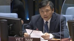 Вьетнам призвал создать благоприятные условия для гуманитарной деятельности в Эфиопии