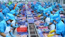 Экспорт морепродуктов в октябре увеличился на 47% по сравнению с прошлым месяцем