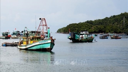 Предложены меры по зелёному развитию морской экономики