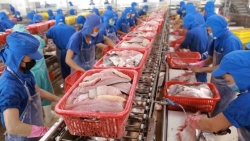 В 2021 году экспорт морепродуктов достигнет почти $8,9 млрд.