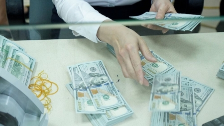 Переводы вьетнамских эмигрантов на родину составили $12,5 млрд