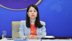 Вьетнам призвал к преодолению вызовов и выполнению целей устойчивого развития