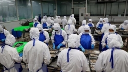 Экспорт продукции водного промысла оценивается в рекордные 11 млрд. долл. США