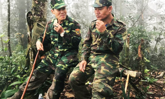ການລາດຕະເວນຮ່ວມກັນໃນລະດູບານໃໝ່