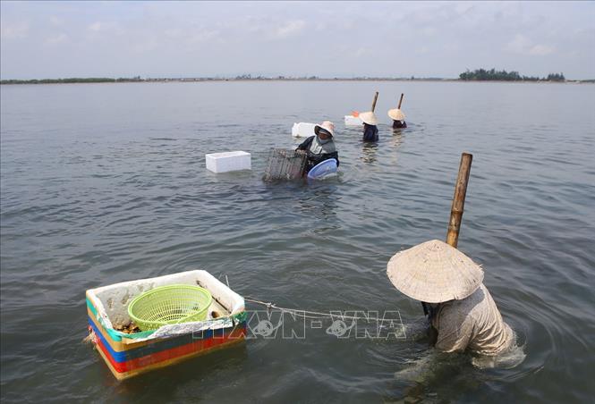 ເຊີດຊູ ບັນດາຜົນສຳເລັດ ແລະ ການອຸທິດຕົນຂອງແມ່ຍິງ ໃຫ້ແກ່ມວນມະນຸດ