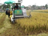 ຍູ້ແຮງການຫັນເປັນອຸດສາຫະກຳ ທັນສະໄໝ ໃນກະສິກຳ ຊົນນະບົດ - ໜ້າທີ່ສຳຄັນອັນດັບໜຶ່ງ ໃນວິວັດການກໍ່ສ້າງສັງຄົມນິຍົມ ຢູ່ຫວຽດນາມ