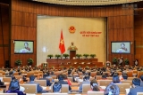 ຫວຽດນາມ ໄດ ປ ບປ ງລະບ ບນະໂຍບາຍ ກ ດໝາຍ ແລະຜ ນຂະຫຍາຍຫ າຍມາດຕະການລະອຽດຢ າງບ ຢ ດຢ ງເພ ອຮ ບປະກ ນສ ດທ ມະນ ດ ສ ດທ ຜ ນລະເຮ ອນ