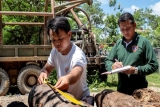 ລ ດຖະບານລາວ ສະໜອງທ ນເພ ມໃຫ 4 ສະຖາບ ນການເງ ນ ທ ເຂ າຮ ວມໂຄງການປ ອຍກ ໃຫ ທ ລະກ ດຂະໜາດນ ອຍ