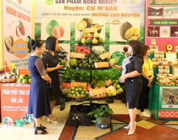 ພິທີໄຂງານຕະຫຼາດນັດກະສິກຳ ແລະ ຜະລິດຕະພັນ OCOP ເຂດ ໄຕງວຽນ