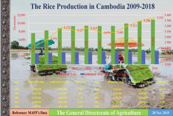 កសិផលរបស់កម្ពុជាជិត៧លានតោន ត្រូវបាននាំចេញទៅទីផ្សារអន្តរជាតិ នៅឆ្នាំ២០១៩
