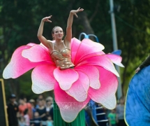 Carnival តាមដងវិថីបានប្រារព្ធយ៉ាងសប្បាយរីករាយនៅវិថីដើរថ្មើរជើងជុំវិញបឹង Guom