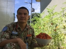 កងទ័ពមួកខៀវវៀតណាម៖ 