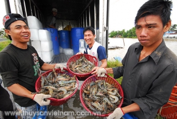 ជលផលវៀតណាមដាក់ចេញគោលដៅនាំចេញ ១០ ពាន់លានដុល្លារអាមេរិក