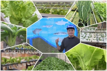 ស្វែងយល់បន្លែសរីរាង្គនៅកម្ពុជានិងអ្នកផ្គត់ផ្គង់​ថាបន្លែ​សរីរាង្គ​និង​សុវត្ថិភាព មាន​ទីផ្សារ​និង​តម្រូវការ​ច្រើនជាង​មុនក្នុងបរិបទនៃជំងឺកូវីដ១៩​