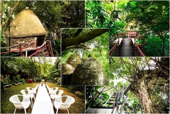 លក្ខណៈវិសេសវិសាលរបស់សេវាកម្ម  Home Stay “ផ្ទះលើដើមឈើ” នៅទីក្រុងហាណូយ