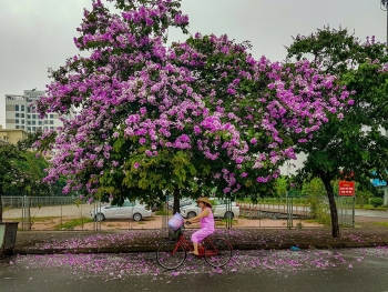 ចង្វាក់ជីវិតទីក្រុងហាណូយនៅដើមរដូវក្តៅ