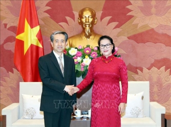 ប្រធានរដ្ឋសភាវៀតណាមលោកស្រី Nguyen Thi Kim Ngan ទទួលជួបឯកអគ្គរដ្ឋទូតចិនប្រចាំនៅវៀតណាម លោក Xiong Bo