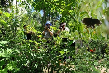 សួនមេអំបៅក្រុងសៀមរាប