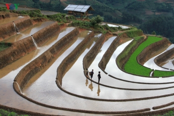 Mu Cang Chai - រមណីយដ្ឋានមួយក្នុងចំណោមរមណីយដ្ឋានដ៏ស្រស់ស្អាតបំផុត លើពិភពលោក