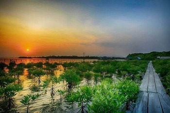 ព្រៃកោងកាងក្នុងសហគមន៍នេសាទត្រពាំងសង្កែ កំពុងអន្ទងចិត្តភ្ញៀវទេសចរដែលស្រលាញ់ធម្មជាតិ