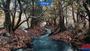 ទេសចរណ៍ផ្សងព្រេងចាប់អារម្មណ៍ដើរកំសាន្តឡើងលើភ្នំរាំងខ្វាវខេត្តពោធិ៍សាត់