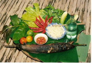 លក្ខណៈពិសេសនៃម្ហូបអាហារប្រចាំតំបន់ទាំង ៣ នៅវៀតណាម
