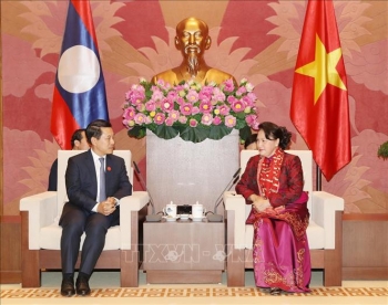 ប្រធានរដ្ឋសភាលោកស្រី Nguyen Thi Kim Ngan បានទទួលជួបរដ្ឋមន្ត្រីការបរទេសឡាវ
